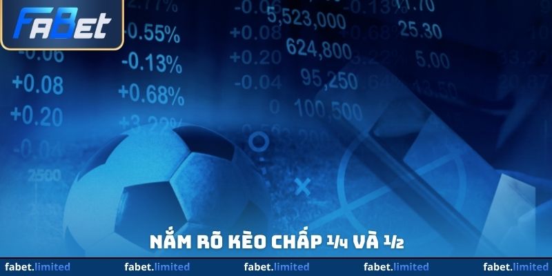 Nắm rõ kèo chấp ¼ và ½